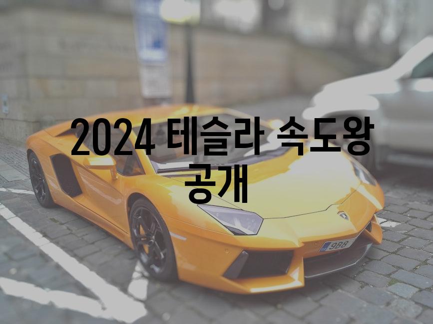  2024 테슬라 속도왕 공개