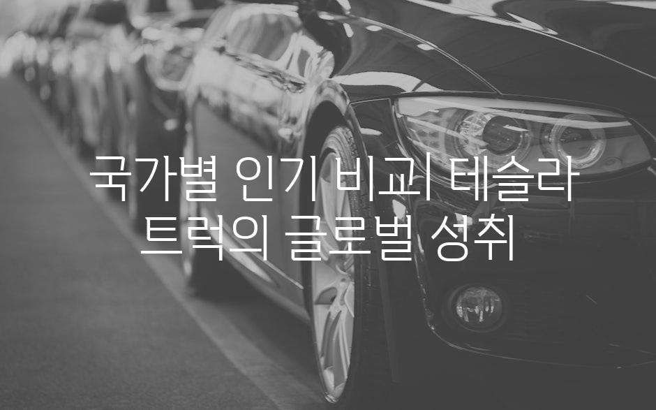  국가별 인기 비교| 테슬라 트럭의 글로벌 성취