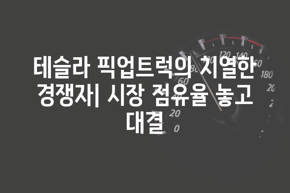 이미지_설명