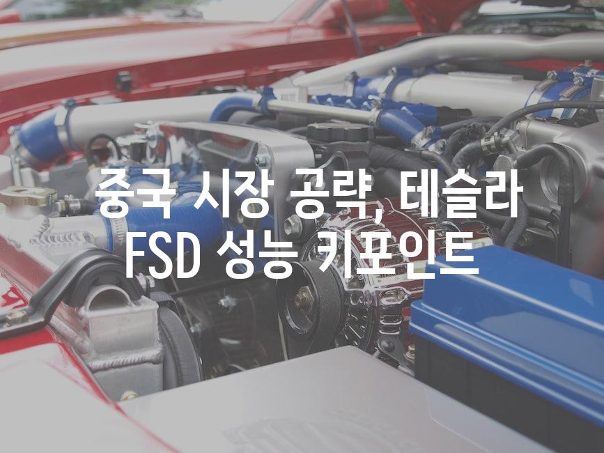  중국 시장 공략, 테슬라 FSD 성능 키포인트