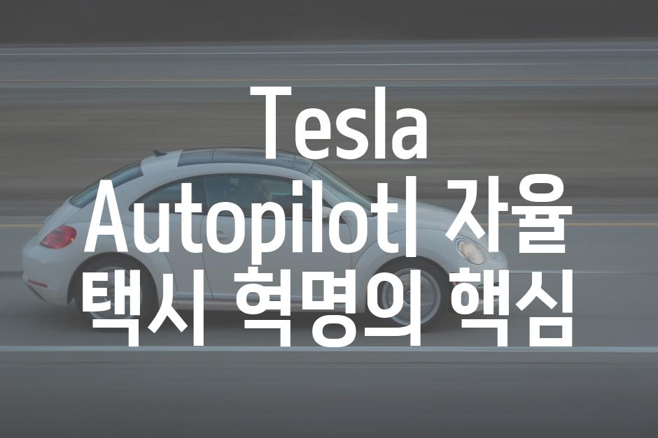  Tesla Autopilot| 자율 택시 혁명의 핵심