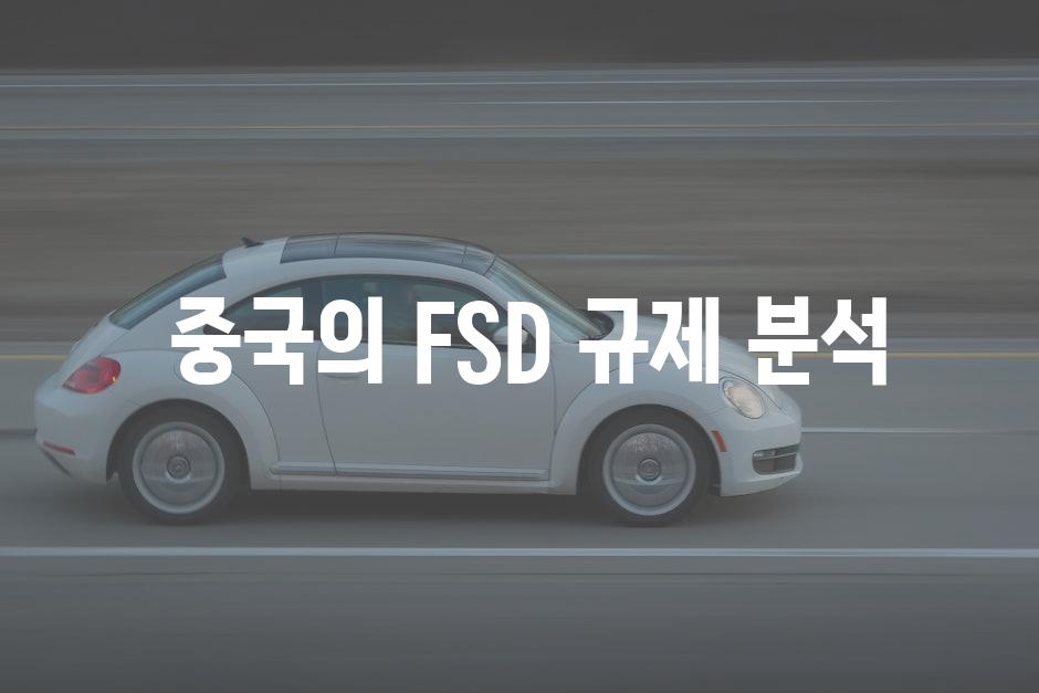  중국의 FSD 규제 분석