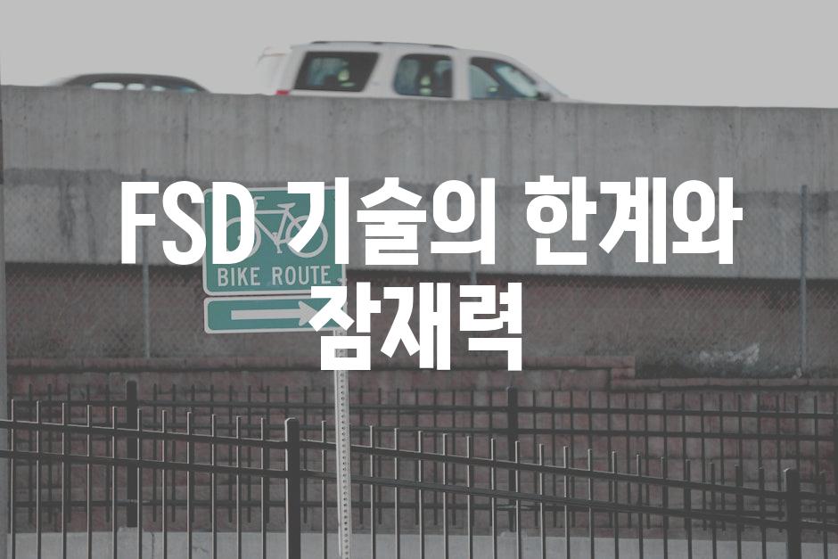  FSD 기술의 한계와 잠재력