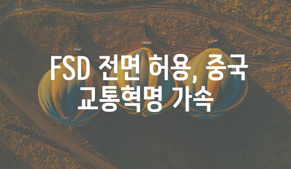  FSD 전면 허용, 중국 교통혁명 가속