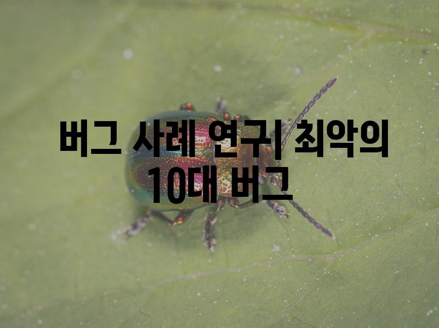  버그 사례 연구| 최악의 10대 버그