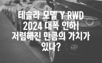 테슬라 모델 Y RWD 2024 대폭 인하| 저렴해진 만큼의 가치가 있나?