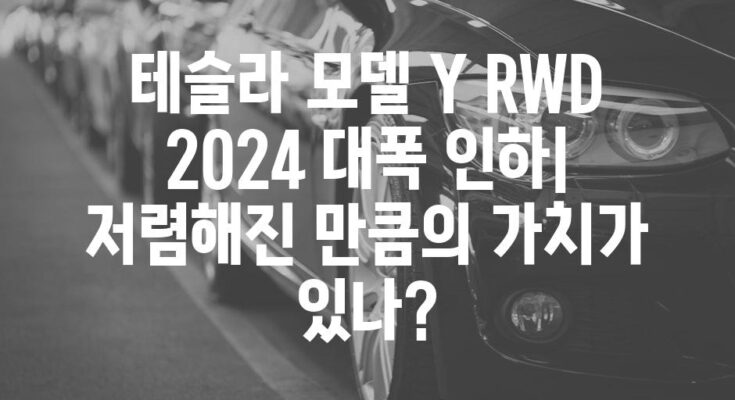 테슬라 모델 Y RWD 2024 대폭 인하| 저렴해진 만큼의 가치가 있나?