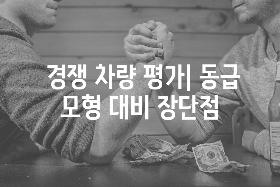  경쟁 차량 평가| 동급 모형 대비 장단점