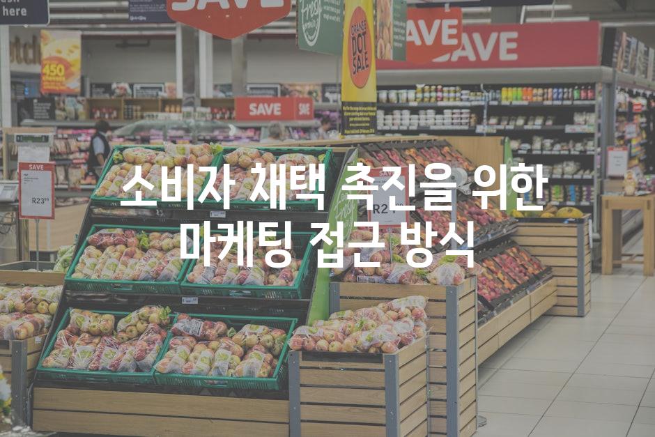  소비자 채택 촉진을 위한 마케팅 접근 방식