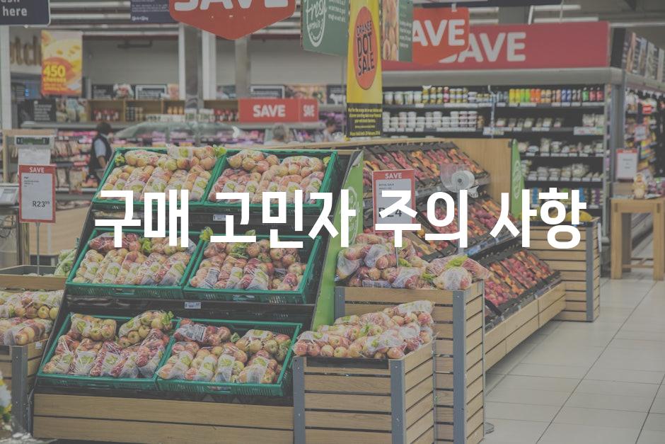  시기별 인하 추이 및 전망