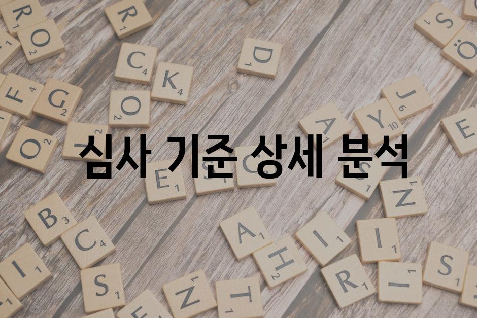  심사 기준 상세 분석