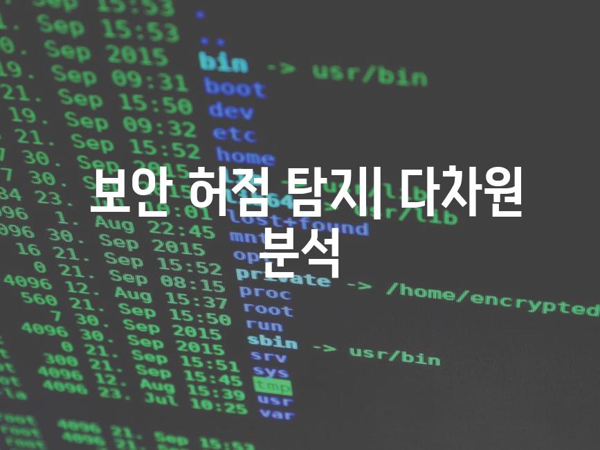  보안 허점 탐지| 다차원 분석