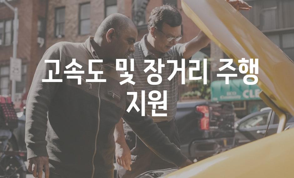  고속도 및 장거리 주행 지원