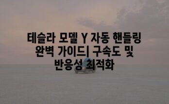 테슬라 모델 Y 자동 핸들링 완벽 가이드| 구속도 및 반응성 최적화