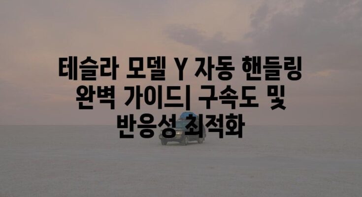 테슬라 모델 Y 자동 핸들링 완벽 가이드| 구속도 및 반응성 최적화