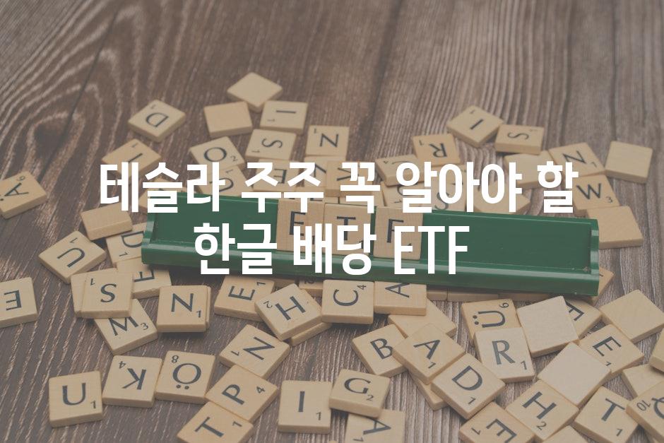  테슬라 주주 꼭 알아야 할 한글 배당 ETF