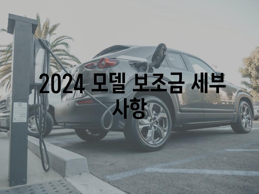 2024 모델 보조금 세부 사항