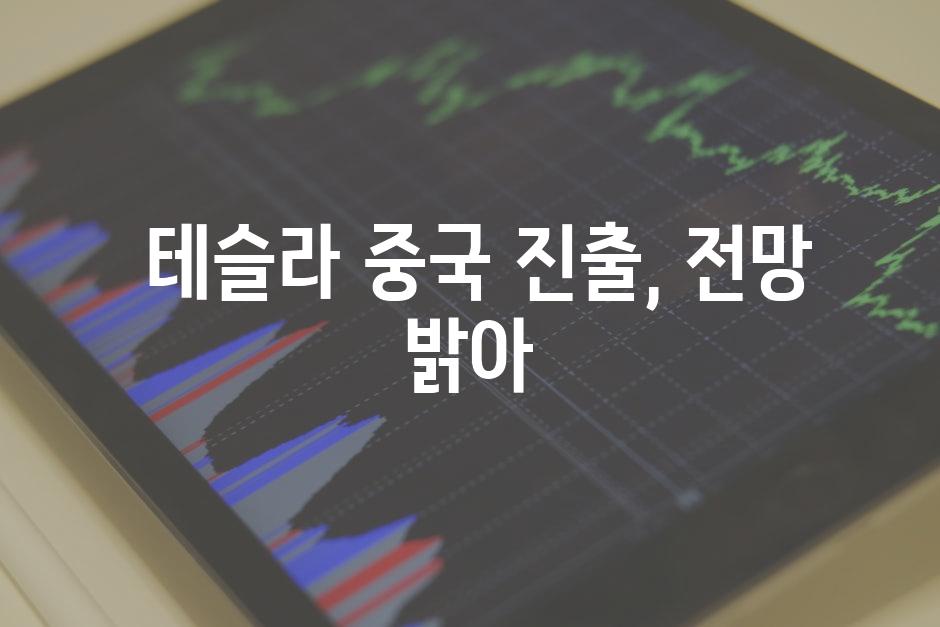  테슬라 중국 진출, 전망 밝아