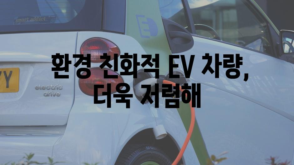  환경 친화적 EV 차량, 더욱 저렴해