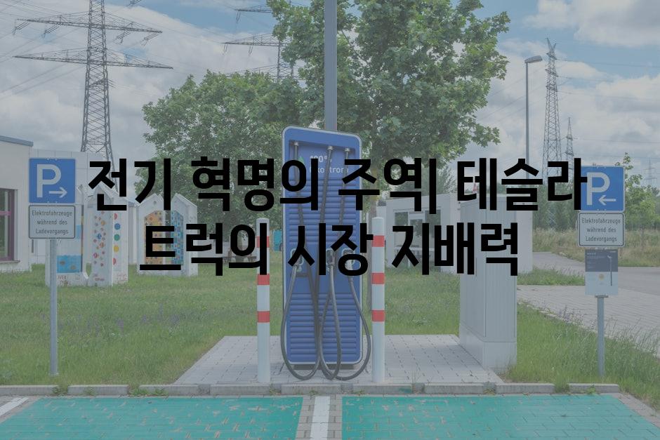  전기 혁명의 주역| 테슬라 트럭의 시장 지배력