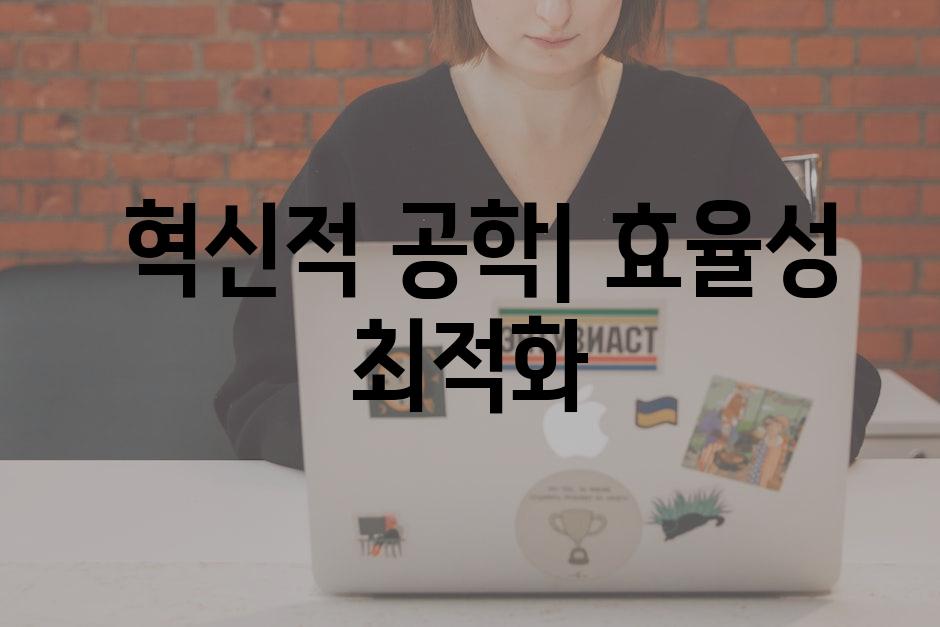  혁신적 공학| 효율성 최적화