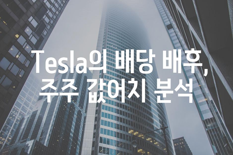  Tesla의 배당 배후, 주주 값어치 분석