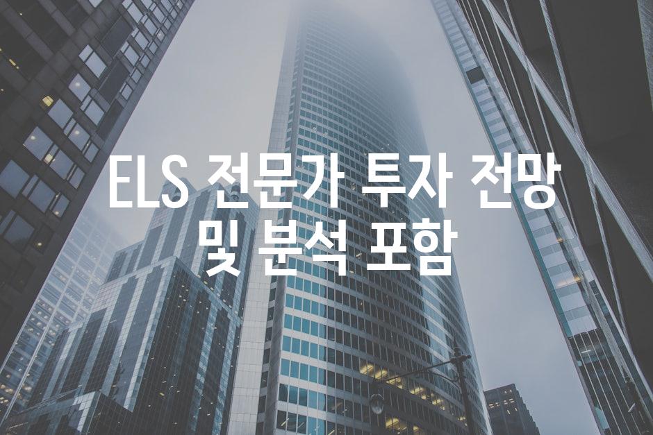  ELS 전문가 투자 전망 및 분석 포함