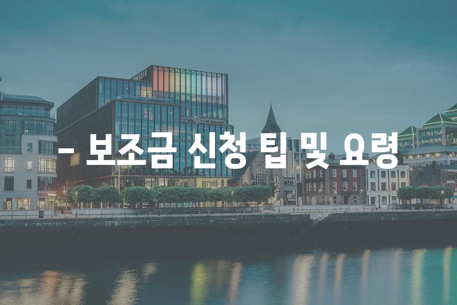 - 보조금 신청 팁 및 요령