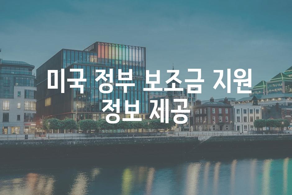  미국 정부 보조금 지원 정보 제공