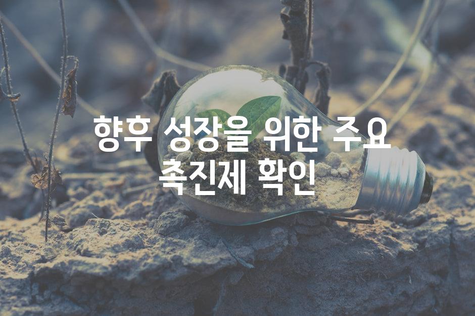  향후 성장을 위한 주요 촉진제 확인