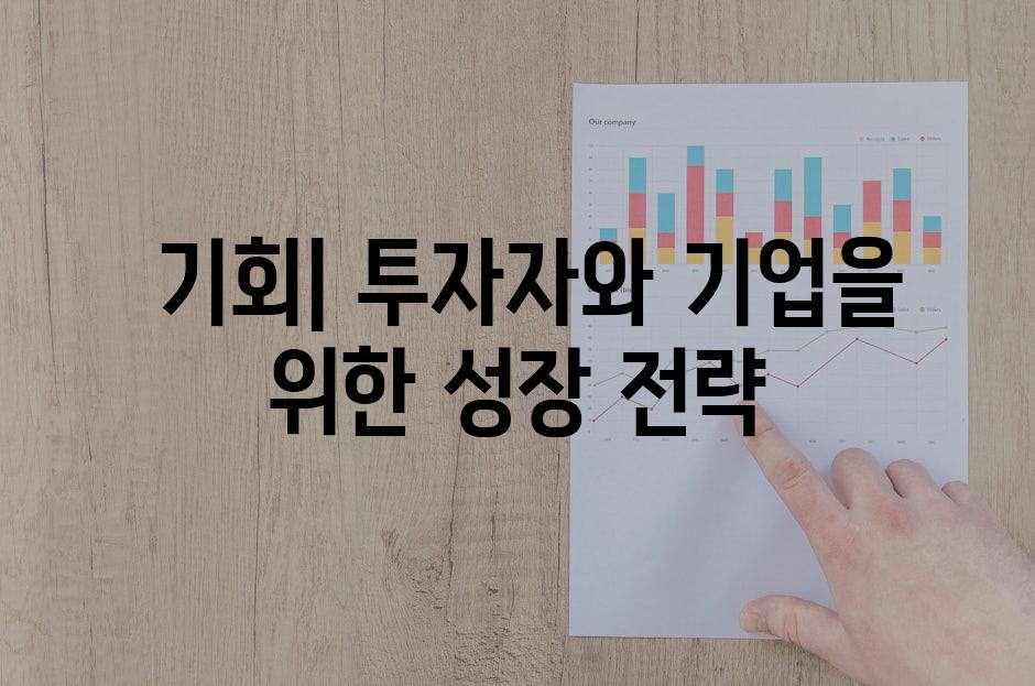  기회| 투자자와 기업을 위한 성장 전략