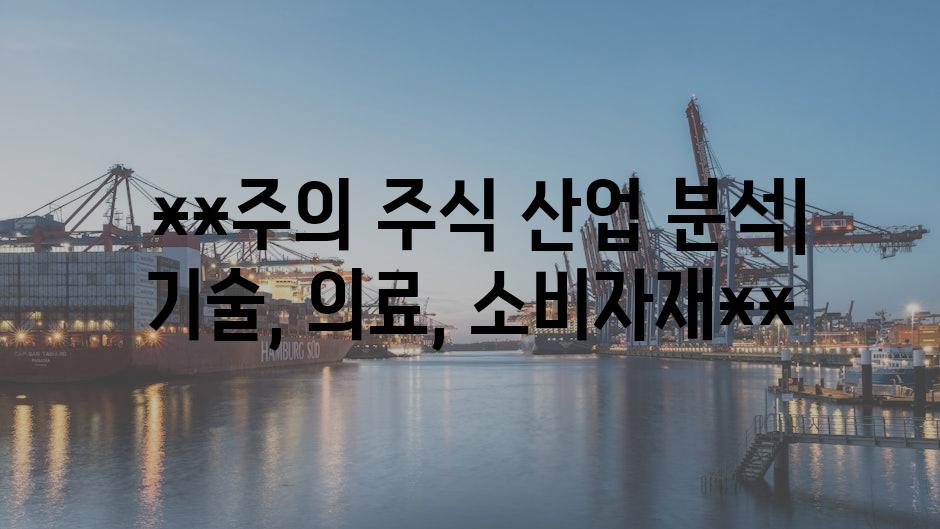  **주의 주식 산업 분석| 기술, 의료, 소비자재**