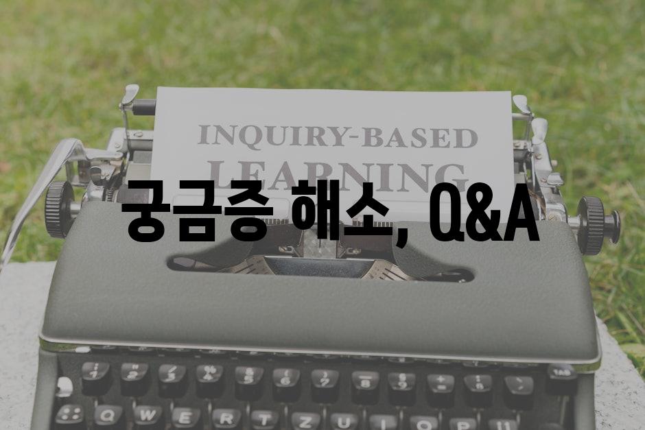  궁금증 해소, Q&A