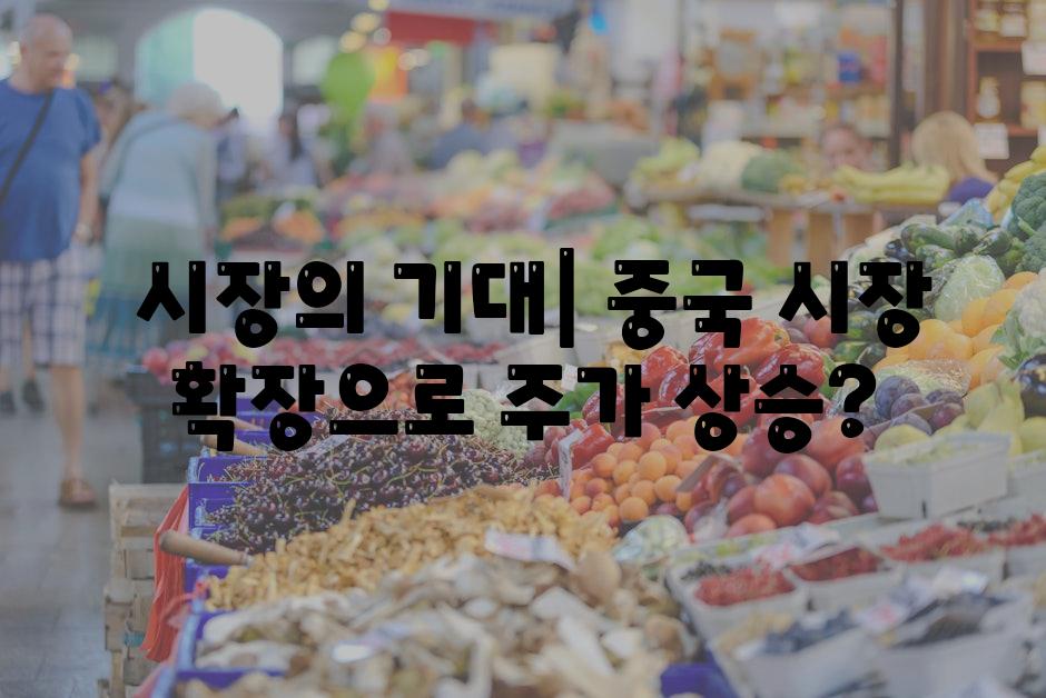  시장의 기대| 중국 시장 확장으로 주가 상승?