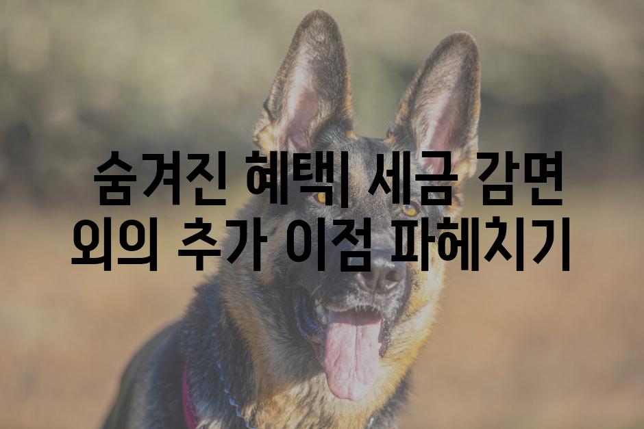  숨겨진 혜택| 세금 감면 외의 추가 이점 파헤치기