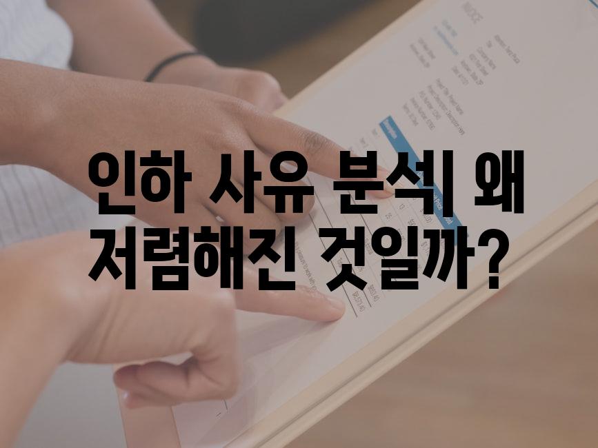  인하 사유 분석| 왜 저렴해진 것일까?