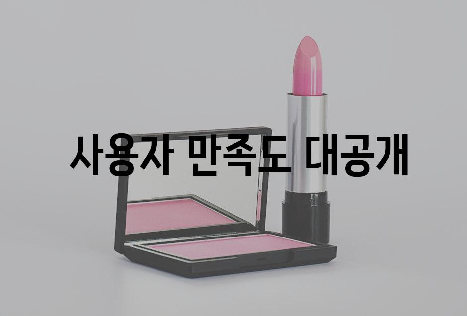  사용자 만족도 대공개