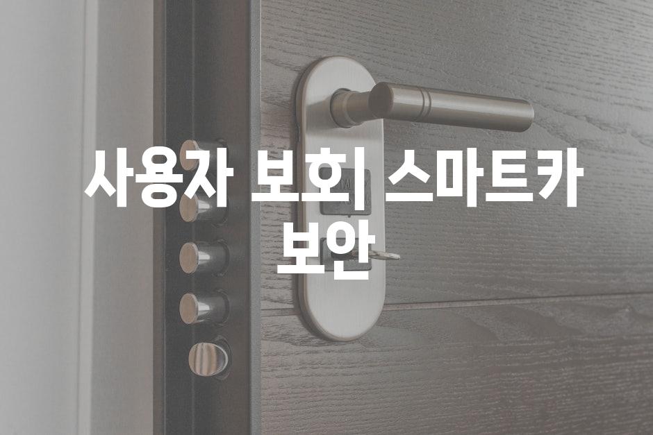  사용자 보호| 스마트카 보안