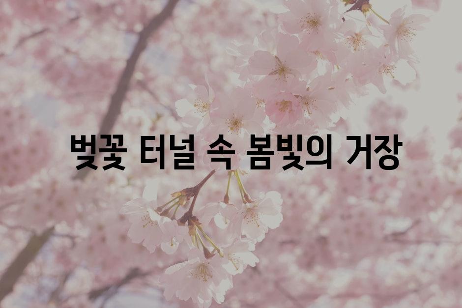  벚꽃 터널 속 봄빛의 거장