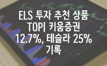 ELS 투자 추천 상품 TOP| 키움증권 12.7%, 테슬라 25% 기록