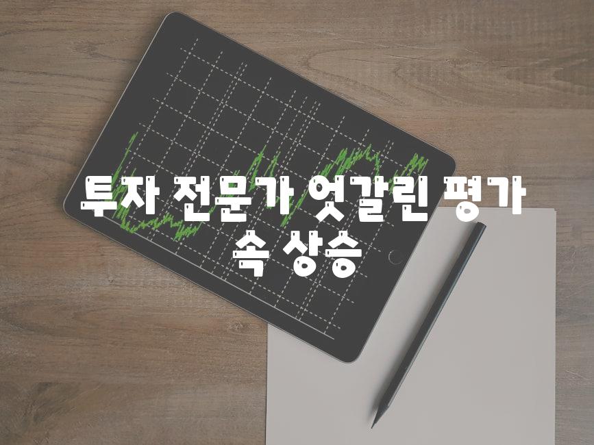  투자 전문가 엇갈린 평가 속 상승