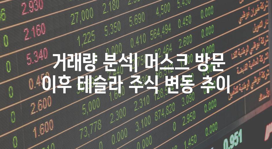  거래량 분석| 머스크 방문 이후 테슬라 주식 변동 추이