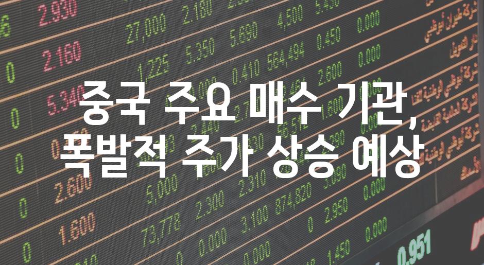  중국 주요 매수 기관, 폭발적 주가 상승 예상