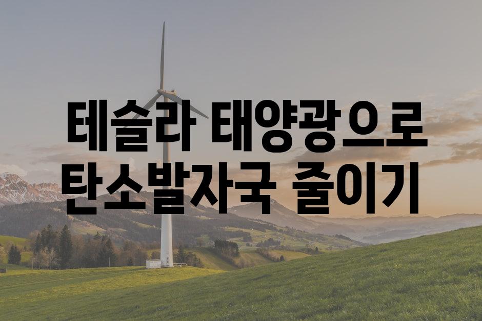  테슬라 태양광으로 탄소발자국 줄이기