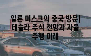 일론 머스크의 중국 방문| 테슬라 주식 전망과 자율 주행 미래