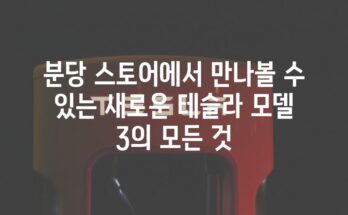 분당 스토어에서 만나볼 수 있는 새로운 테슬라 모델 3의 모든 것