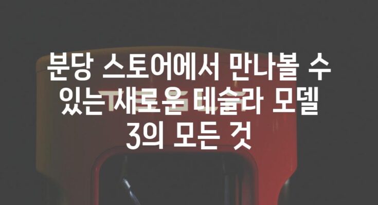 분당 스토어에서 만나볼 수 있는 새로운 테슬라 모델 3의 모든 것