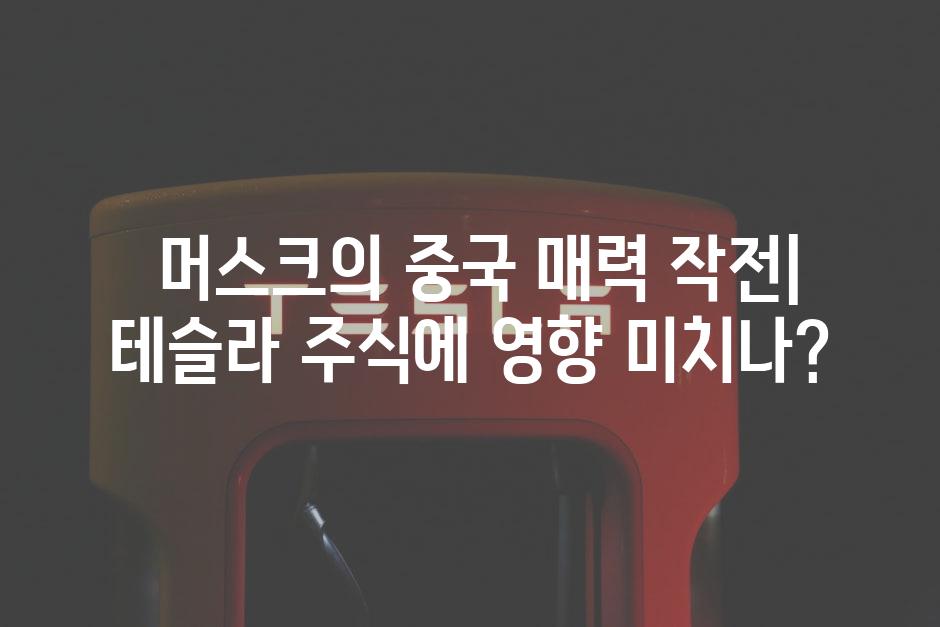  머스크의 중국 매력 작전| 테슬라 주식에 영향 미치나?