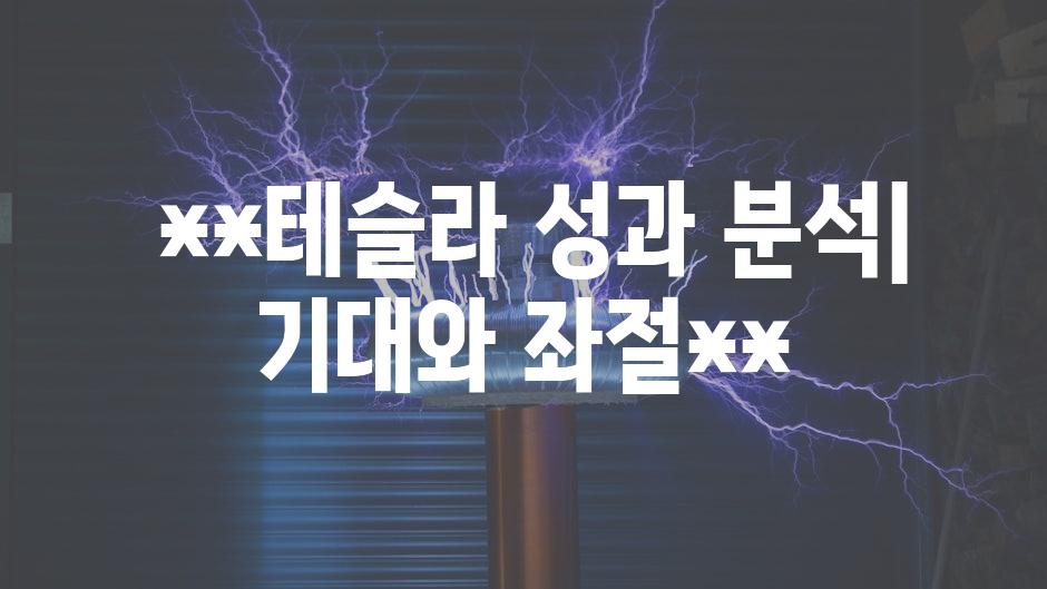  **테슬라 성과 분석| 기대와 좌절**