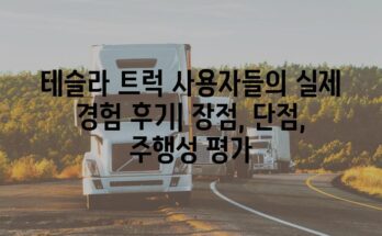 테슬라 트럭 사용자들의 실제 경험 후기| 장점, 단점, 주행성 평가